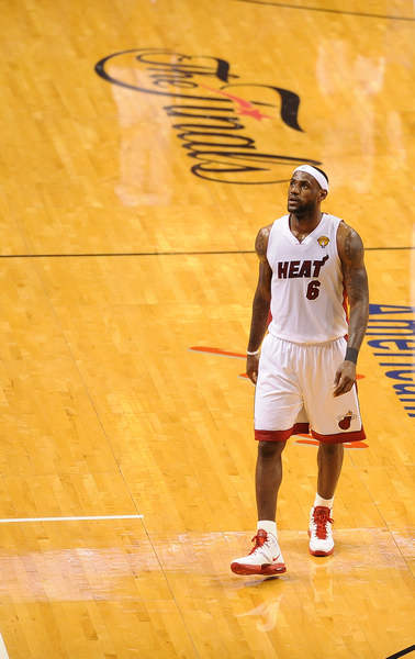 与门前嗅觉 与门前嗅觉