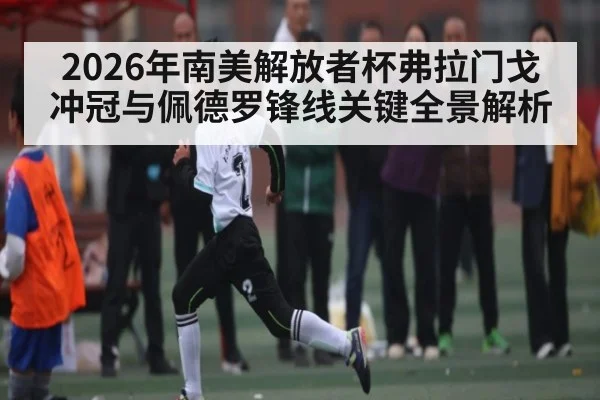 2026年南美解放者杯弗拉门戈冲冠与佩德罗锋线关键全景解析（c7c7.app）